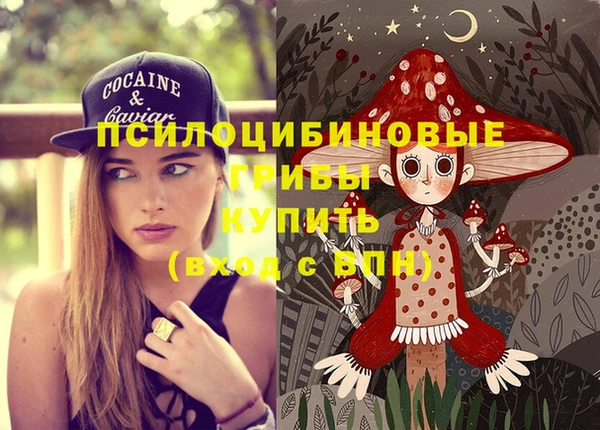 меф Алексин